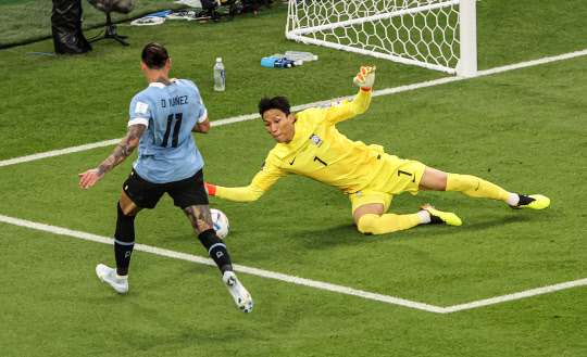 24일 오후(현지시간) 카타르 알라이얀의 에듀케이션 시티 스타디움에서 열린 2022 카타르 월드컵 조별리그 H조 1차전 대한민국과 우루과이 경기. 대한민국의 수문장 김승규가 우루과이 다르윈 누녜스의 골문 앞 돌진을 몸을 날려 막아내고 있다. [알라이얀=연합뉴스]